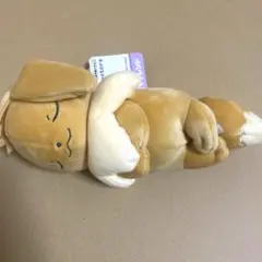 2026年最新】すやすやイーブイの人気アイテム - メルカリ