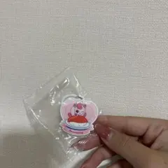 キャッチ！ティニピン アクセサリーチャーム ティニピン