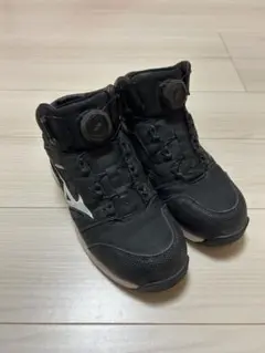 Item thumbnail for item 0feb93b1-bf7f-42fd-af00-a6a5866a708e