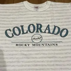 80s 90s USA製 ボーダー Tシャツ XL カレッジ スーベニア 古着のサムネイル
