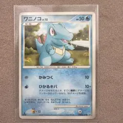 ポケモンカード ワニノコ LV.15