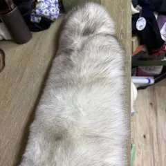 Item thumbnail for item 122566e1-cb27-459e-a369-1e1f0ef17118