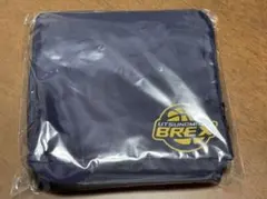 【非売品】UTSUNOMIYA BREX ボストンバック