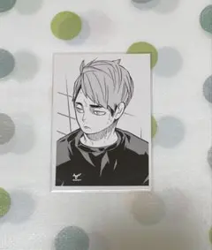 ハイキュー クロニクル 思い出スナップフォトカード 宮治