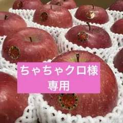 ちゃちゃクロ様専用です