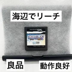 【良品】ニンテンドーDS 海辺でリーチソフト動作良好 任天堂
