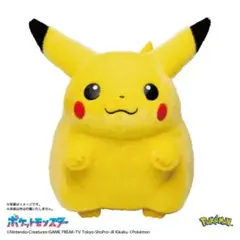 ポケモン30周年記念おかえり！ピカチュウ 1/1
