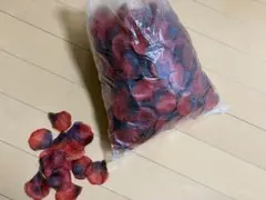 Item thumbnail for item 5f38bc6c-0bc0-4f00-a270-a7269766f316