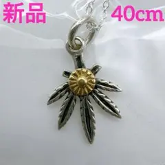 Item thumbnail for item 52e1a5a6-5ff3-47fb-aaba-d26226f4dfd4