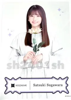 菅原咲月　乃木坂46 福袋 ランダムクリアポスター