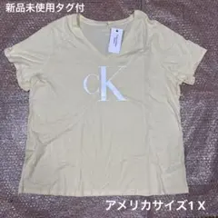calvin KleinロゴプリントTシャツUSサイズ1 X新品未使用