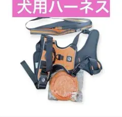 Item thumbnail for item 4bb5185c-3fe1-4d6e-8cd0-f907a676dbce