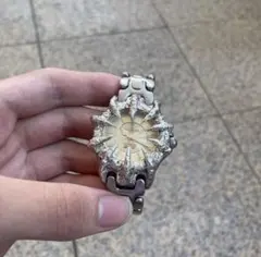 腕時計　カスタム　チェーン　y2k グランジ