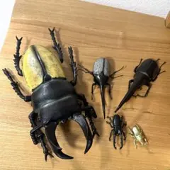 カブトムシフィギュアセット ５体