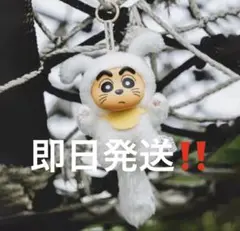 クレヨンしんちゃん　52toys 　大きな尻尾　ぬいぐるみ　キーホルダー　4点 クレヨンしんちゃん 52toys 大きな尻尾 ぬいぐるみ キーホルダー