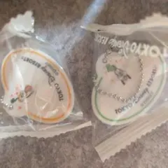 ディズニーランド購入ネームチャーム