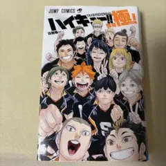 【最終値下】【美品】ハイキュー!! 全巻セット　排球本 排球極！ ハイカラ!! ハイキュー全巻セット+ファイナルガイドブック排球極 【公式通販】