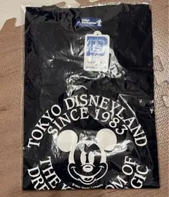 Item thumbnail for item f695d428-b058-482d-85a3-9db6f50a99a8