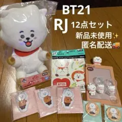 BT21 RJ 12点セット JIN ぬいぐるみ フィギュア チャーム 缶バッジ