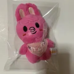 2026年最新】straykids ぬいぐるみ トエッキの人気アイテム - メルカリ