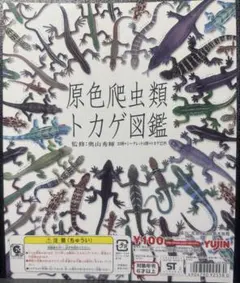 原色爬虫類トカゲ図鑑 22種類 台紙付きのサムネイル