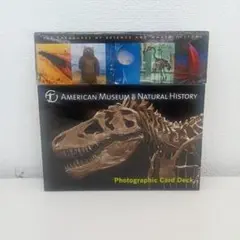 【ず1056】AmericanMuseumofNaturalHistory