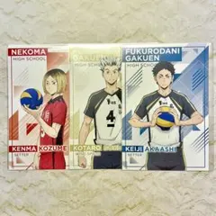 ハイキュー‼︎ アニメイト特典 ポストカード