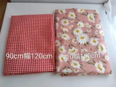 Item thumbnail for item 2b527350-6b82-47be-99cc-9afc71d77192