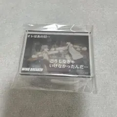 ウィンブレ ダイソー アクリルブロック 十亀条 兎耳山丁子