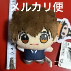 家庭教師ヒットマンリボーン ちびぐるみ vol.1沢田綱吉 ＆リボーン