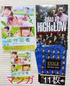 ★美品★映画チラシ　植物図鑑、ROAD TO HiGH&LOW、他
