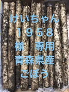 2026年最新】青森県産 ごぼうの人気アイテム - メルカリ