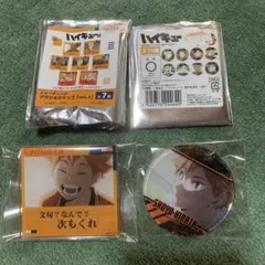 ハイキュー!! 日向翔陽 アクリルクリップ やわらかクリアチャーム 2点セット