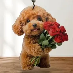 Item thumbnail for item d619b3ef-90de-49e7-a348-d0c3030e9b5c