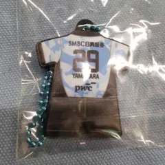 Item thumbnail for item 5dda08bc-88ac-4066-a9f7-ffeed460eef8