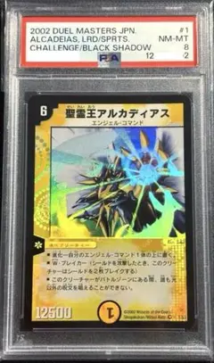 アルカディアス PSA8 初期 2025年最新】聖霊王アルカディアス psaの人気アイテム - メルカリ