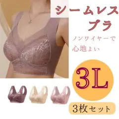 大きいサイズ　ノンワイヤー　着痩　ブラ レース　シームレス　3L