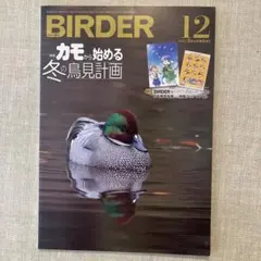 vvgh7038様 リクエスト 2点 まとめ商品