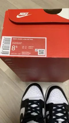 NIKE DUNK LOW RETRO 8.5