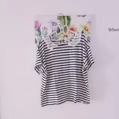 Lindsay❤半袖 レース襟 Lサイズ 160サイズ