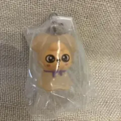 skzoo めじるしアクセサリー　パピーム