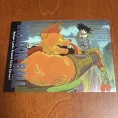 タッキー様専用 ドラゴンボール アマダ PPカード No.170 悟飯 龍文字