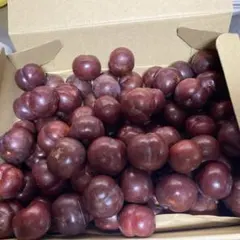 鹿児島県産　硬めの完熟プラム すもも　2kgのサムネイル
