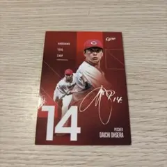 広島カープ 大瀬良大地 投手 赤泊サイン 30枚限定 ルーキー 2025年最新】ルーキー 大瀬良大地の人気アイテム - メルカリ