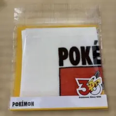 3COINS ポケモン 30周年 ミニタオル　ピカチュウ　ライチュウ
