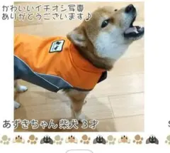 犬用レインコート 犬用防寒着