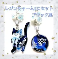 レジンチャーム 2こ セット No05 花 ネコ クジラ 雪 リボン ブラック