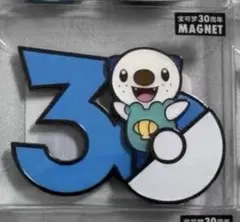 ミジュマル ポケモン30周年 中国限定 マグネット - メルカリ