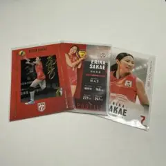 バレーボール女子日本代表 栄絵里香選手 トレーディングカード2026