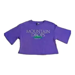 DIVIDED 紫 半袖Tシャツ H&M